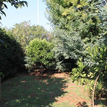 Apartment 7171d Umag