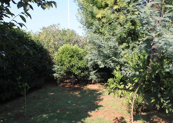 Apartamento 7171d Umag