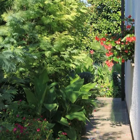 Appartamento 7171d Umago